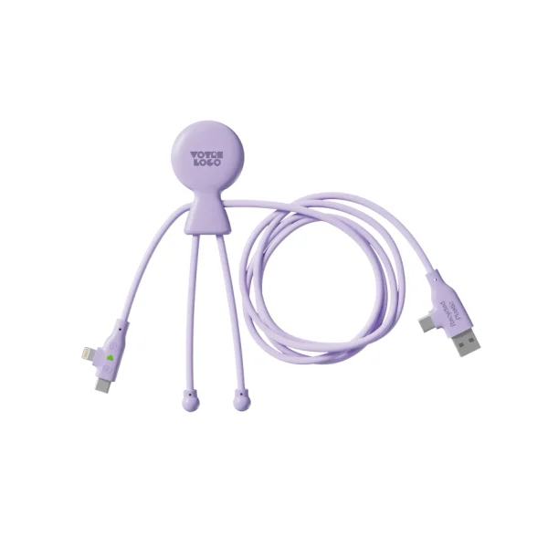 Câble 3-en-1 60W personnalisable