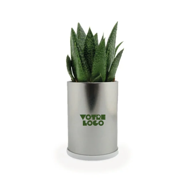 Canette plante alu personnalisable