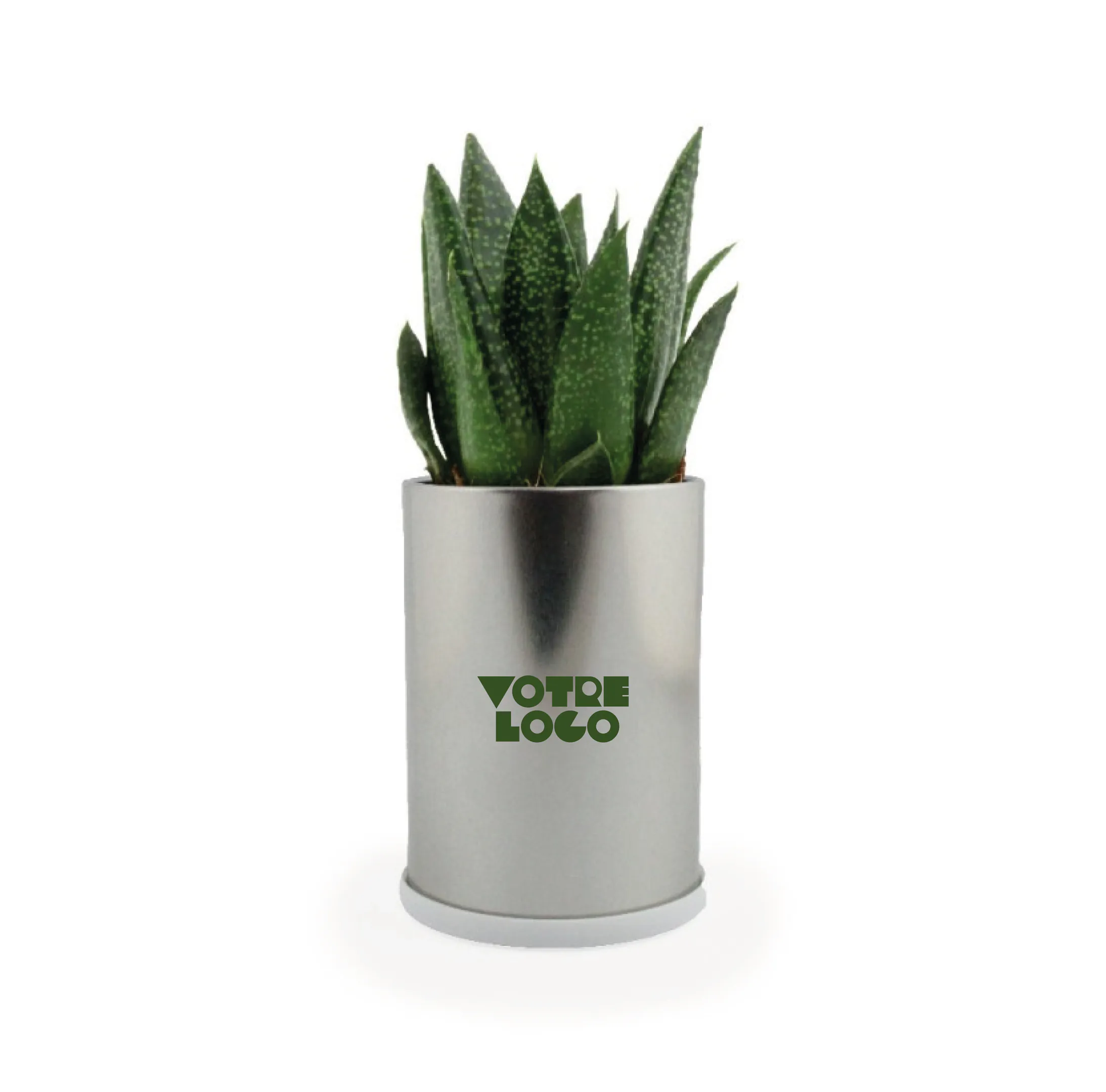 plante-canette-alu-personnalisable.webp Canette plante alu personnalisable