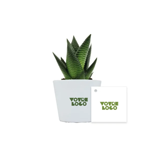 Plante pot céramique Ø7cm personnalisable