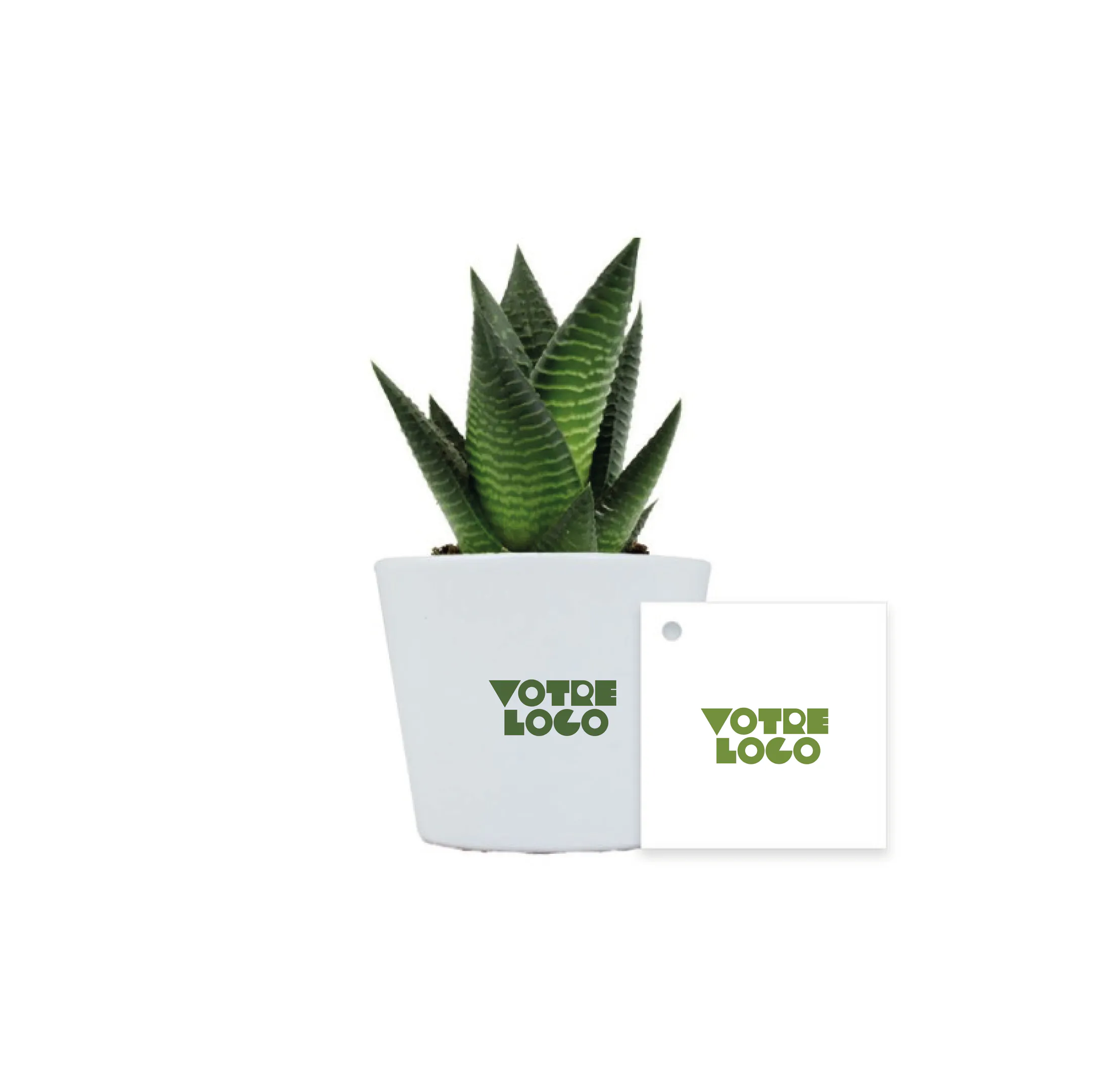 plante-ceramique-personnalisable.webp Plante pot céramique Ø7cm personnalisable