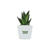 plante-pot-ceramique-personnalisable.webp Plante pot céramique Ø7cm personnalisable