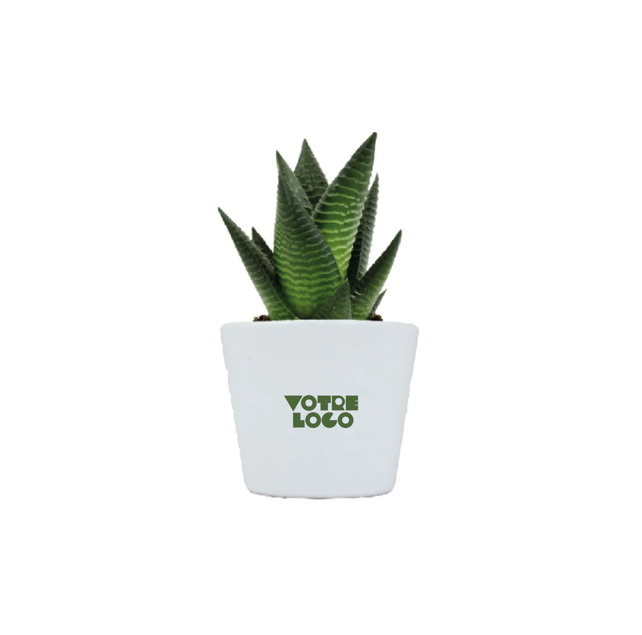 plante-pot-ceramique-personnalisable.webp Plante pot céramique Ø7cm personnalisable