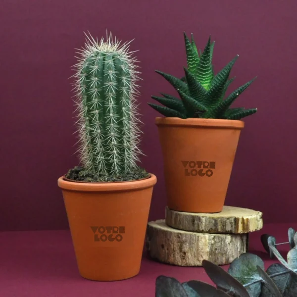 Plante pot terre cuite Ø10cm personnalisable