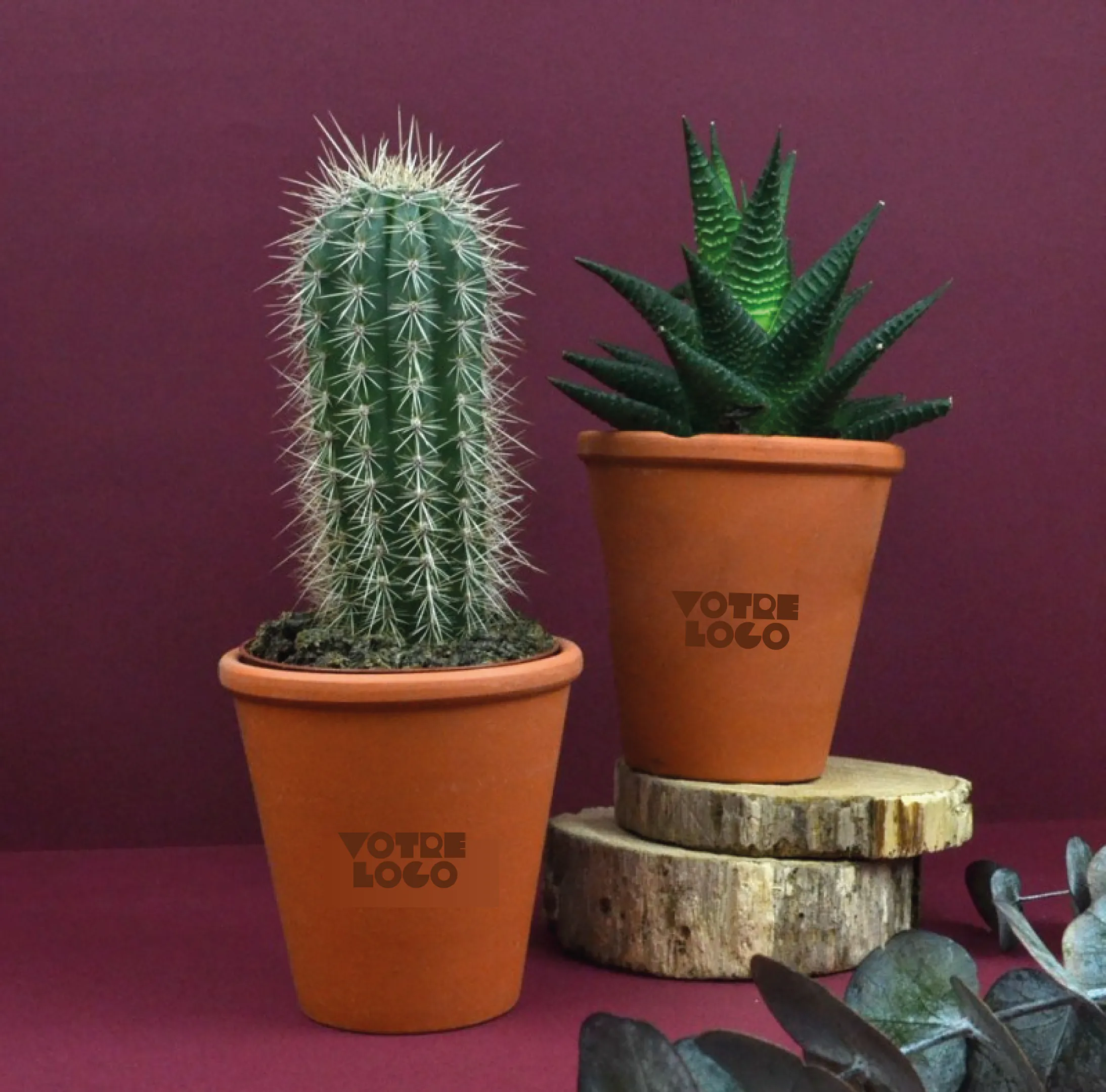 plante-pot-terre-cuite-personnalisable.webp Plante pot terre cuite Ø10cm personnalisable