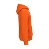 Sweat-shirt à capuche unisexe 260 g/m2 personnalisable