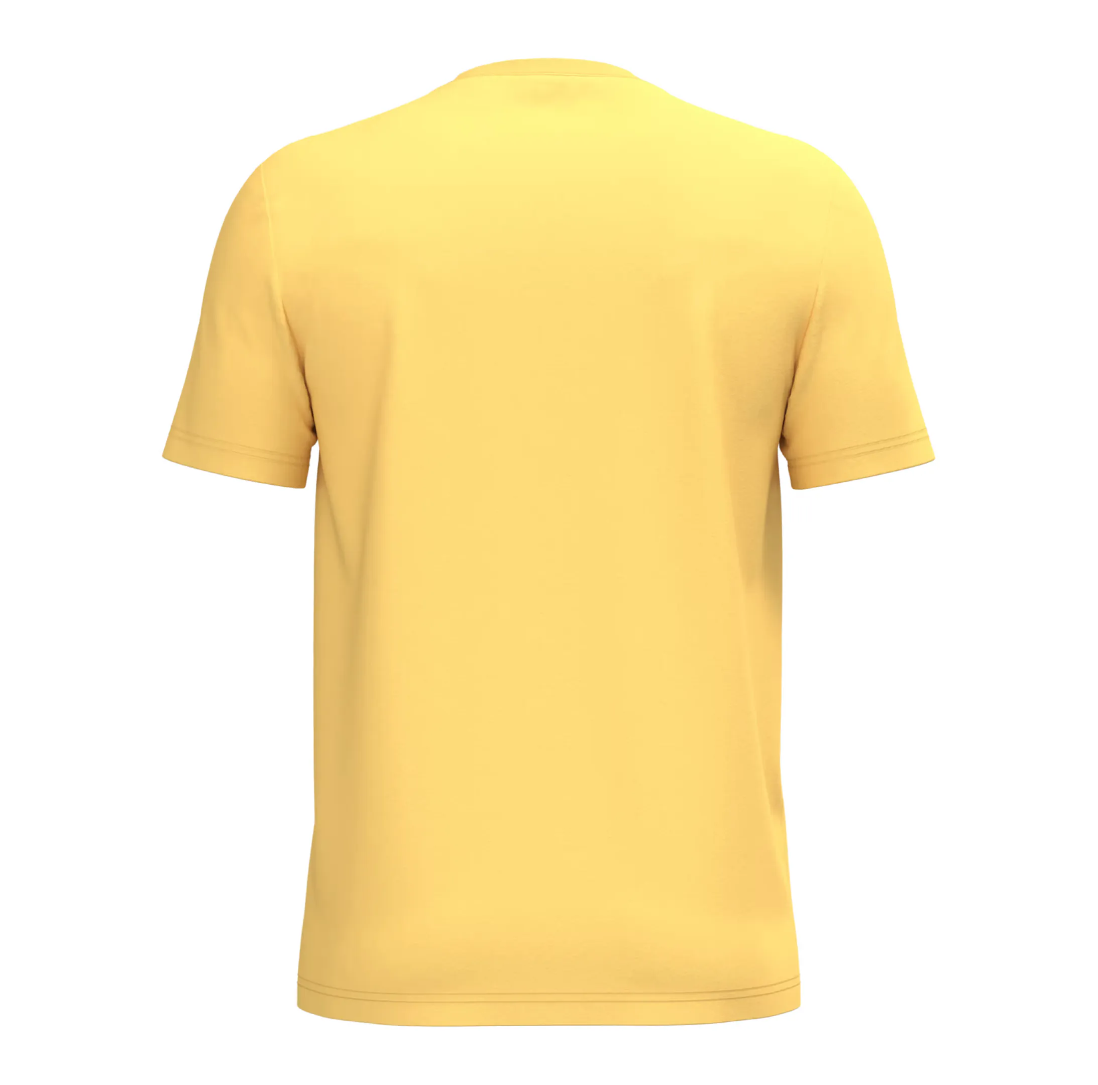 r0015-ananas-dos T-shirt écoresponsable unisexe 180 g/m² personnalisable