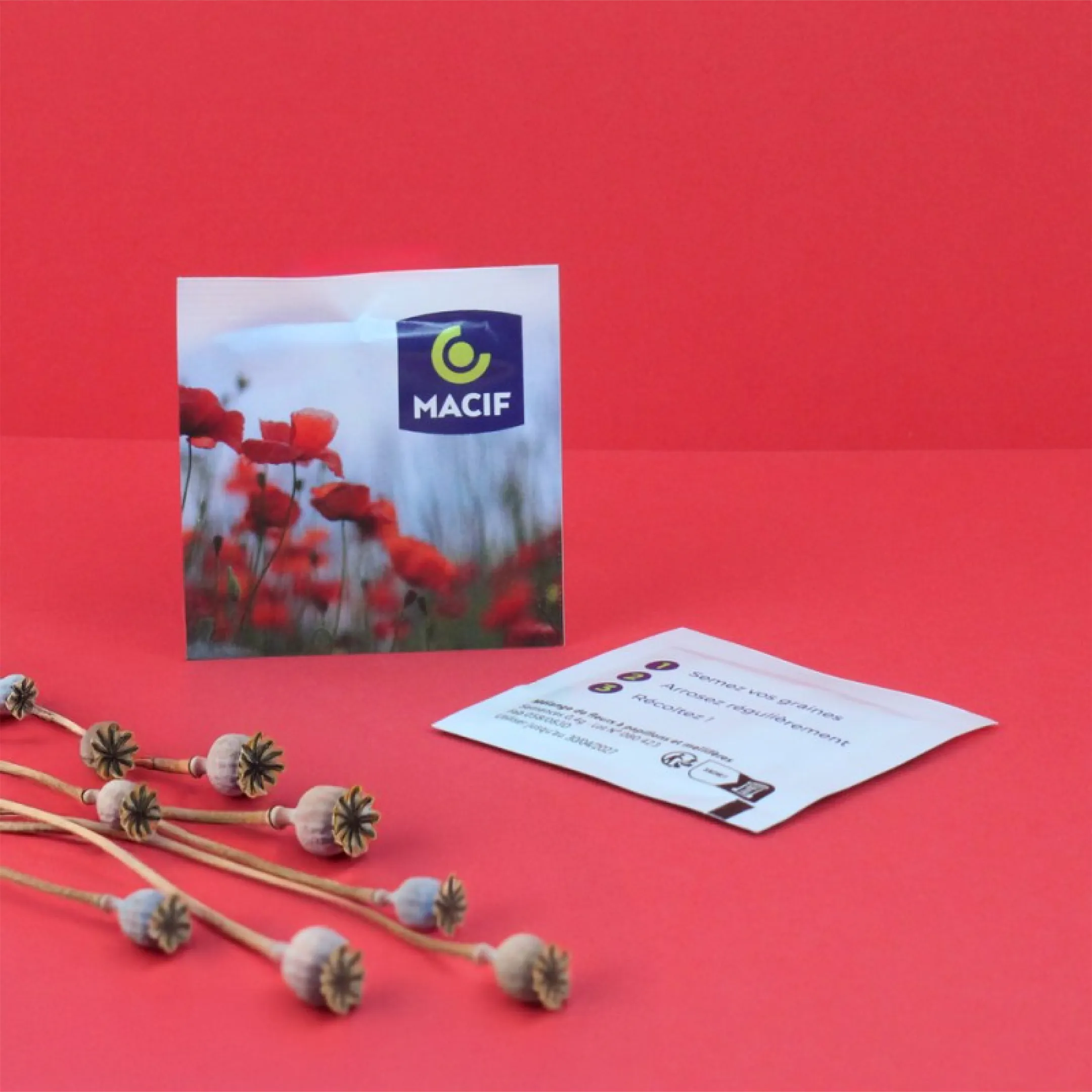 Sachet Graines 55x55mm 100% personnalisable