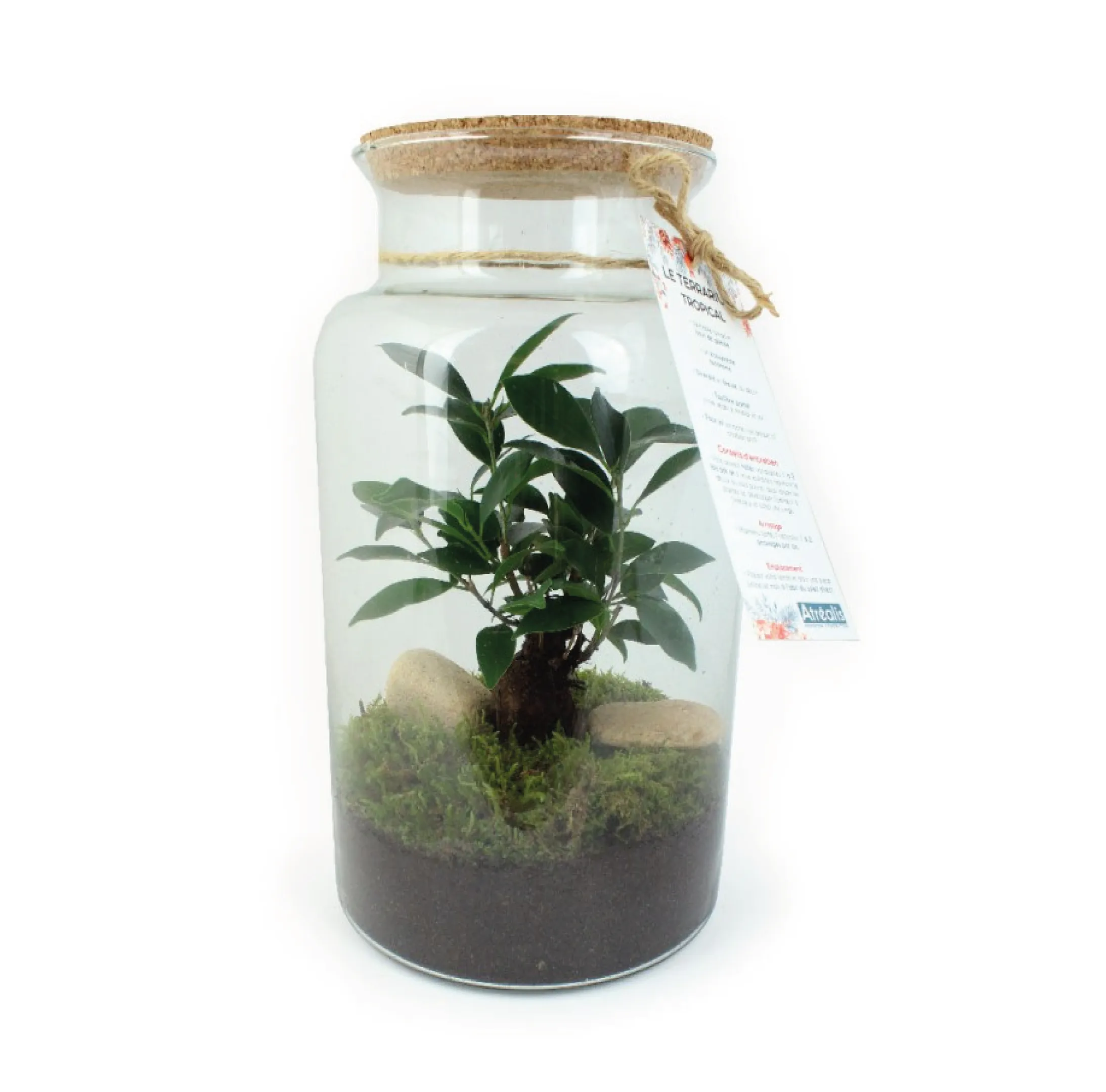 Terrarium grand modèle Made in France personnalisable