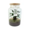 Terrarium grand modèle Made in France personnalisable